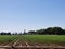 California Series: Agriculture Field in Gilroy