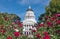 California State Capitol with rose garden
