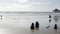 California summertime beach aesthetic, sea gull and pacific ocean water waves. Dreamlike tranquil natural background. Atmospheric