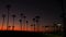 California summertime dusk twilight aesthetic, purple dramatic sunset. Palm tree iconic silhouettes on famous Venice beach, Santa