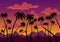 California sunset landscape. Coast wallpaper with black silhouette palm trees. Nature panorama of scenic violet-orange