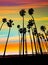 California sunset Palm tree rows in Santa Barbara