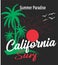 california surf summer paradise print
