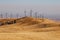 A Californian Wind Farm