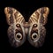 Caligo eurilochus butterfly isolated on black background. Insects in nature. AI generated