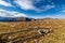 The call of Rocky Mountain National Park