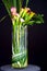 Calla Lilies in Vase