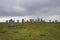 The `Callanish Stones` on the Isle of Lewis in Scotland