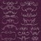 Calligraphy decorative borders, ornamental rules, dividers, vect