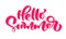 Calligraphy lettering brush composition text Hello Summer. Vector Hand Drawn Isolated phrase. Vector illustration sketch