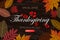 Calligraphy of Thanksgiving Day Sale banner. Seasonal lettering, vector illustration.