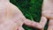 Calloused hands of a man who has worked all his life in the field with his hands. Close up view of the hands of the