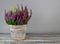 Calluna vulgaris, heath flower in rustic wicker planter on wood desk