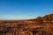 Calm Baltic sea seashore beach background in golden hour