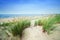 Calm beach with dunes and green grass.