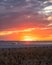 Calm beach scene under a vibrant sunset as the sun dips below the horizon. Long Beach