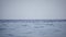 Calm blue water surface with the soft reflection. Closeup slowmotion shot with grey sky without clouds on background.