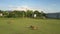 Calm brown buffaloes graze on beautiful sunny meadow