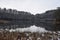 calm caldera lake Holzmaar in winter, view from the reed area to the forest side