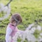 Calm child playing on a green meadow under a blossoming white ch