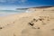Calm Coast Costa Calm in Fuerteventura Island
