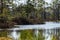 calm countryside lake river with cloud reflections in water and green shores