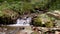 Calm creek waterfall deep in the woods