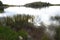 A calm dam with ripples and reeds.