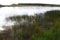 A calm dam with ripples and reeds.