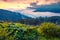 Calm dawn on Carpathian mountains. Very early morning on the mountain valley