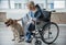 Calm disabled woman petting the hound at home