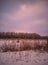 Calm Evening Photo with the Field and Forest with the Sunset in