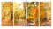 Calm fall season. Set of vertical banners with beautiful landscape and road in autumn forest