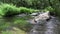 Calm floating river with a natural fish pass in an idyllic valley shows the tranquil wilderness worth an environmental protection