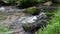 Calm floating river with a natural fish pass in an idyllic valley shows the tranquil wilderness worth an environmental protection