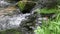 Calm floating river with a natural fish pass in an idyllic valley shows the tranquil wilderness worth an environmental protection