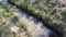 Calm flow of a small creek in the park in the afternoon