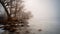 the calm of a foggy morning, on the shores of Lake Memphremagog, near Georgeville,