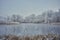 A calm, frozen pond with cattail.