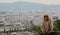 Calm Japanese Macaque monkey sits with back to Kyoto landscape