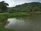 Calm lake with green ground