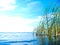 Calm lake on a quiet sunny day. Blue water, white clouts, green vegetation.