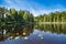 Calm lake with waterlilies and trees reflected in the water