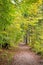 Calm landscape with colorful deciduous trees in forest