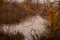 Calm late autumn. Branches with last leaves over a quiet body of water.