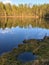 calm mirror lake reflect blue sky and forest