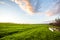 Calm morning sky with vast green field of fresh grass and vegetation