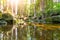 Calm mountain creek with granite boulders