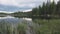 Calm mountain lake with clear water and forest