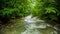 Calm Mountain River Flowing Down Among Greenery In